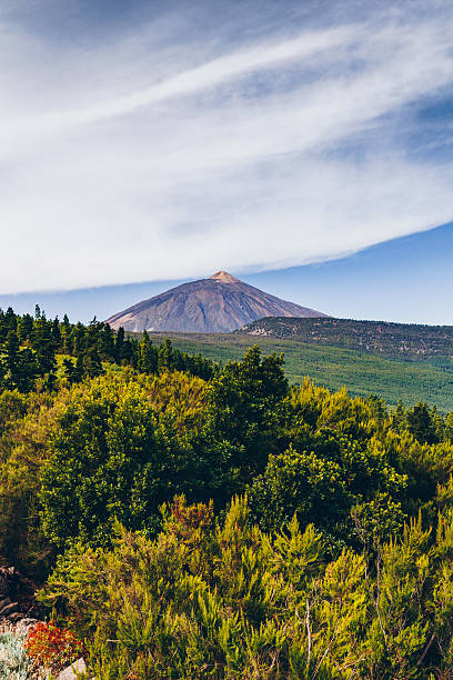 istock Teide National Park, Tenerife, Canary islands, Spain 621367824