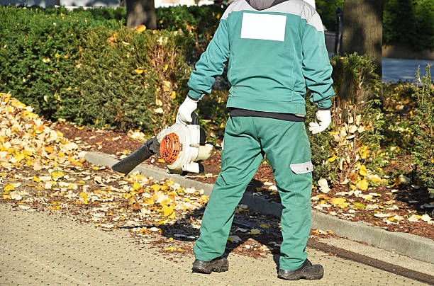 istock Street cleaner works with a blower machinery 621367922