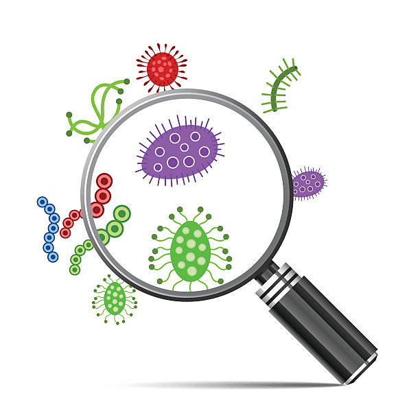 illustrazioni stock, clip art, cartoni animati e icone di tendenza di germi e lente d'ingrandimento - bacterium virus magnifying glass green