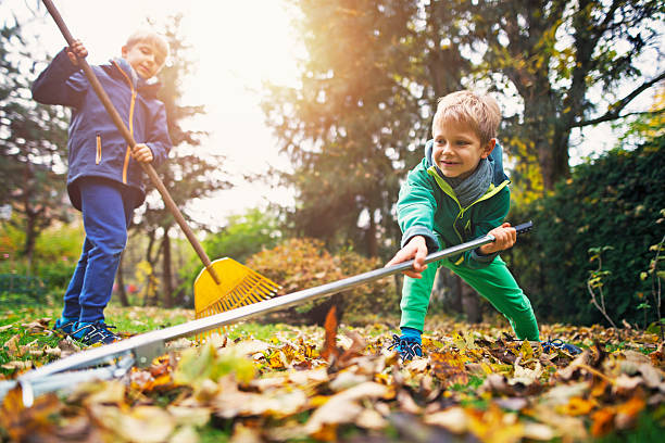 Cute little boys raking autumn leaves Little boys raking autumn leaves. Two brothers aged 7 are helping to clean autumn leaves from the garden lawn. rake stock pictures, royalty-free photos & images