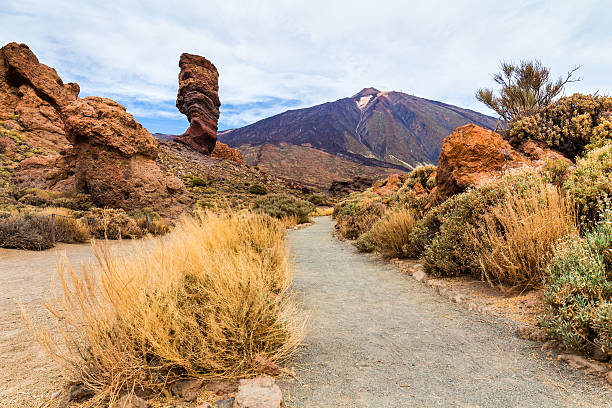 istock El Teide National Park with Teide mountain in the background 621369498