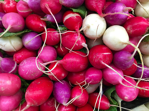 Bunches Easter egg radishes for sale.
