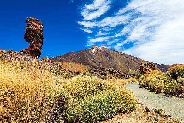 istock Teide National Park, Tenerife, Canary islands, Spain 621370522