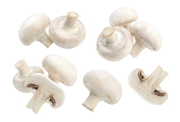 istock Mushroom champignon isolated on white background 621371662