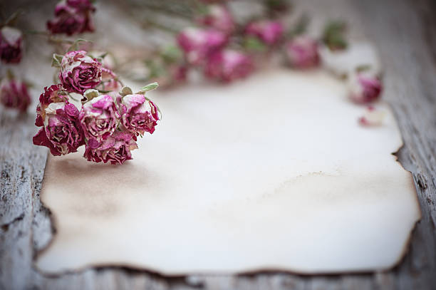 istock Vintage background with old paper dry tea roses 621372282