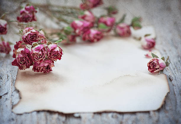 istock Vintage textured background with old paper dry tea roses 621372320