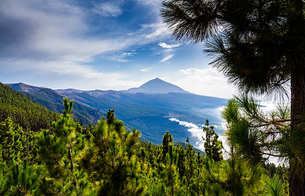 teide, teneriffa, kanarische inseln, spanien - pico de teide stock-fotos und bilder