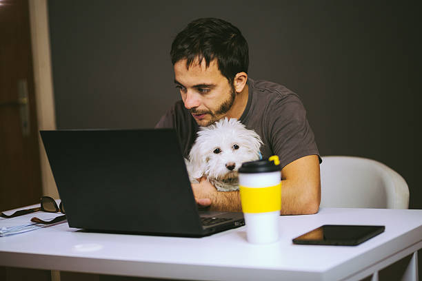 istock Businessman smiling in front of a lap top 621377166