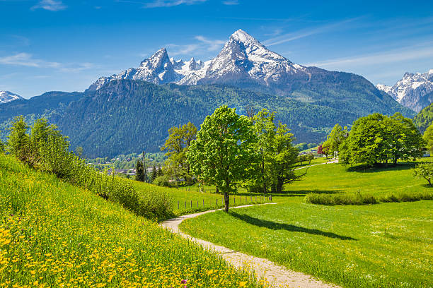 istock Idyllic scenery in the Alps with hiking trail in summer 621378190