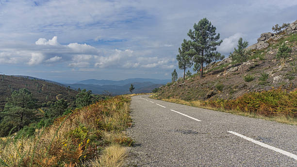 istock Landscape with empty asphalt road in the mountain with sky 621378482