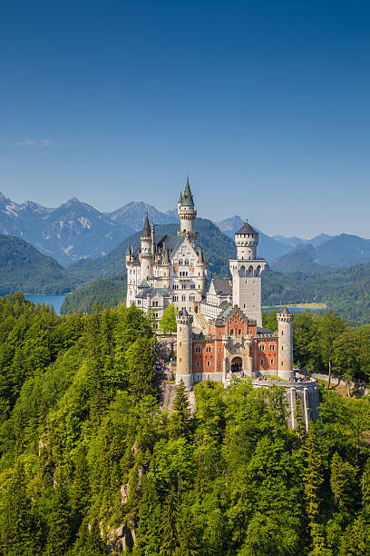 castelo de neuschwanstein, bavária, alemanha - hohenschwangau castle - fotografias e filmes do acervo