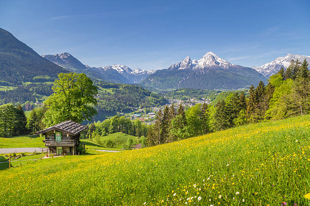 istock Alpine scenery with traditional mountain chalet in summer 621378778