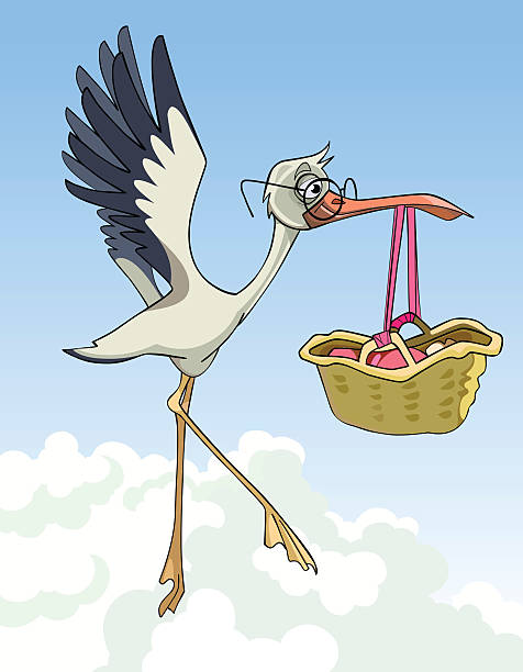 istock cartoon stork carries a basket with a newborn baby 621379580