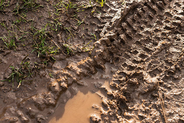 fresh mountain bike tyre track in wet mud - mud road tire track footpath imagens e fotografias de stock