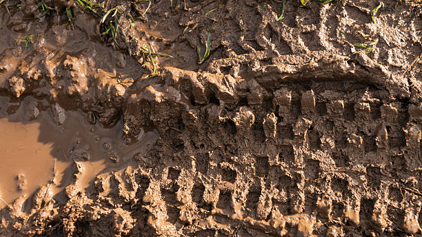 fresh mountain bike tyre tracks in wet mud - dirt road textured dirt mud imagens e fotografias de stock