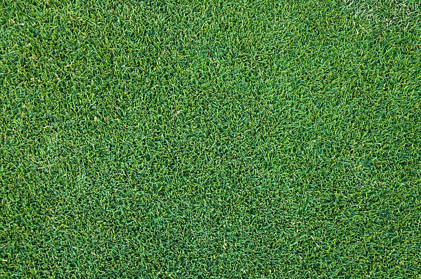 istock Football artificial grass green textured background 621386732