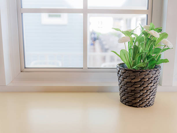 istock Ornamental plants by the window. The interior is beautiful. 621387332