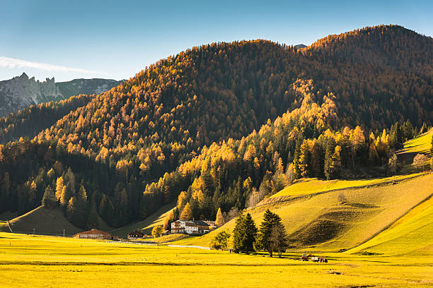 istock alps mountain landscape in autumn 621389694