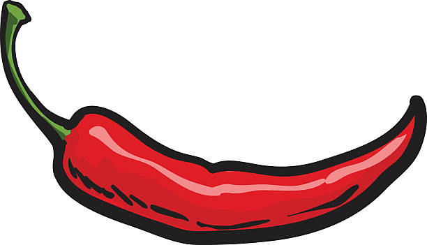 白い背景に分離された手描きの赤いホット唐辛子 - chili pepper illustrations点のイラスト素材／クリップアート素材／マンガ素材／アイコン素材