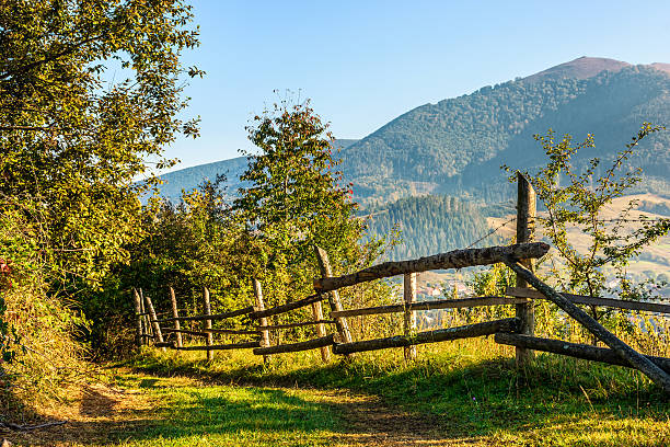 istock fence on hillside meadow in mountain 621390324