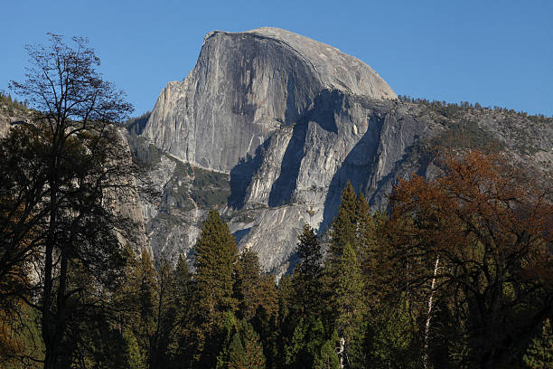 istock Half Dome as seen from Yosemite Valley. 621390796