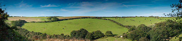 cornish panorama - cornwall england uk england port isaac imagens e fotografias de stock