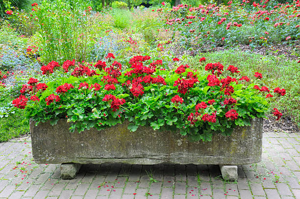 summer park with beautiful flower beds