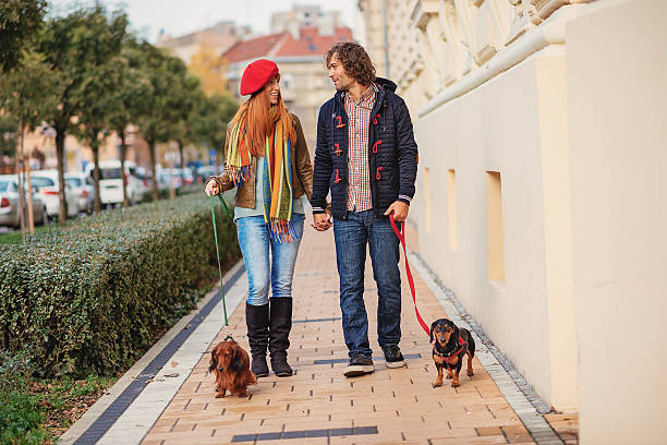istock Sharing love and care with loved dachshund dogs 621393242