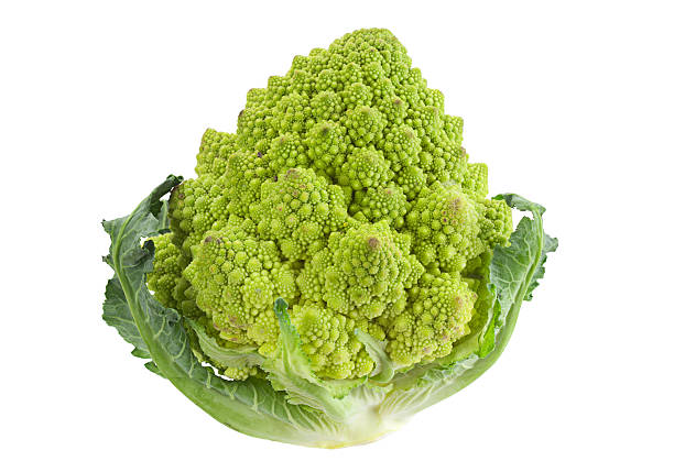 Romanesco cabbage on white