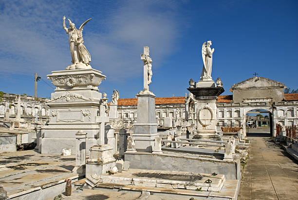 A row of historic and ornate tombs and monuments, including tall obelisks and crosses, stands in Lisbon's Prazeres Cemetery, shaded by tall trees.