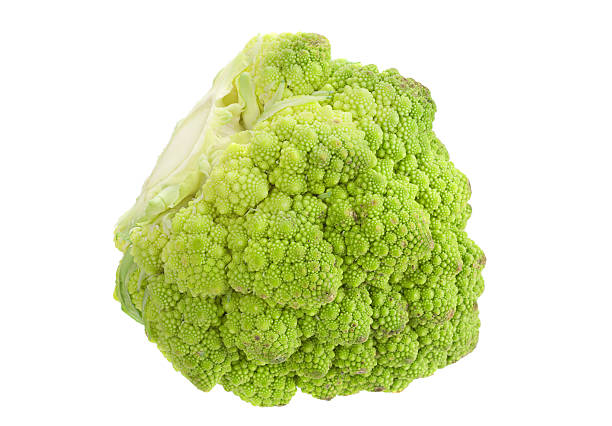 Romanesco cabbage on white