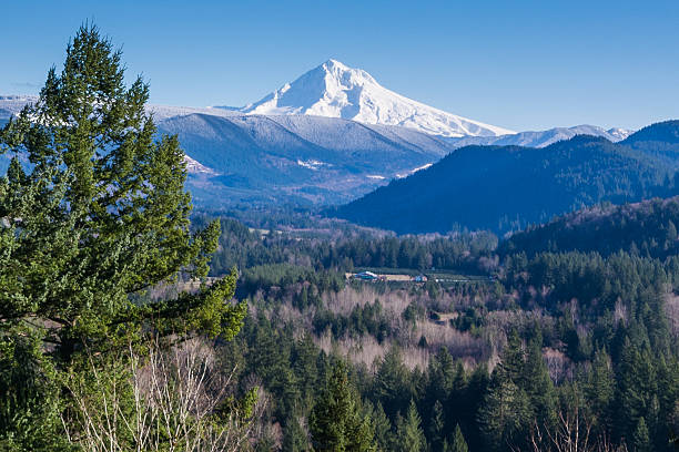 istock Mt Hood Oregon morning with new snow 621465754