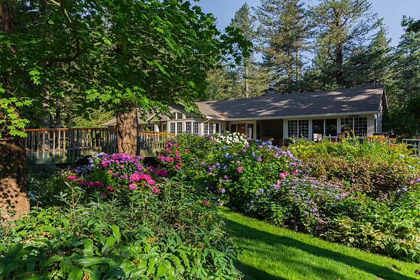 istock Gardens surround Home in Morning light 621470850