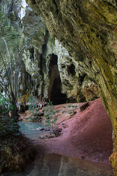 istock Hinagdanan cave in Panglao. 621476276
