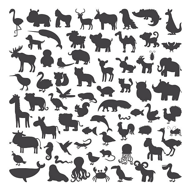 만화 스타일의 검은 동물 실루엣의 큰 세트. 야생의 - zoo young animal africa group of animals stock illustrations