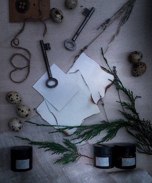 Sheets burnt paper, cans and bottles, old keys, dry lavender