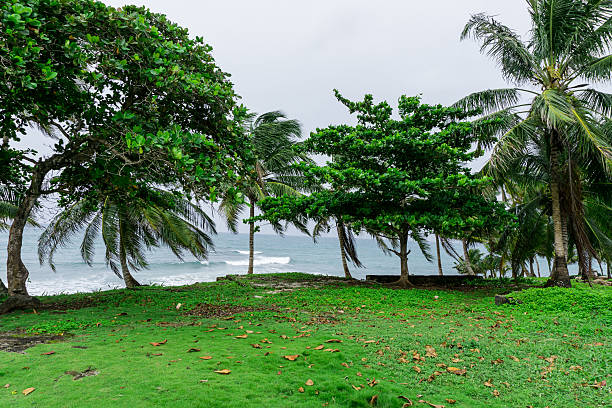 istock corn island, nicaragua. General view to ocean 621485626