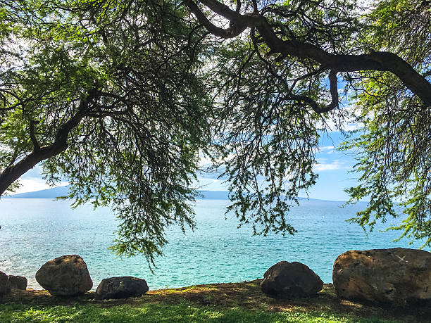 istock Maui Beach, Hawaii, USA 621485674
