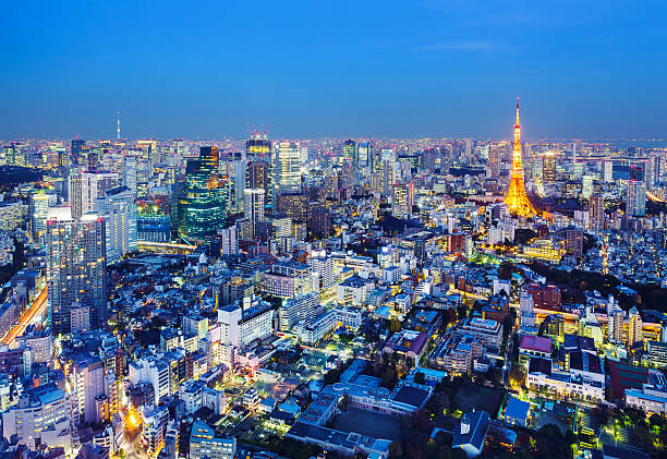 istock Tokyo City skyline 621488408