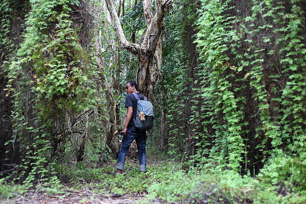 istock Man and Green Wetland Forest 621492586