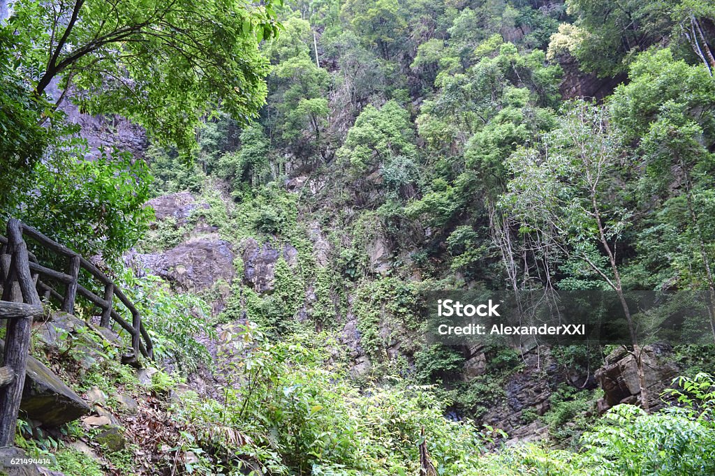 Nature sauvage de l’île de Langkawi. Jungle et cascade de Temurun en Malaisie - Photo de Cascade libre de droits