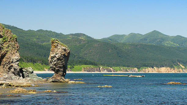 capo velikan, scultura naturalistica gigante di pietra, sakhalin russia - isola di sakhalin foto e immagini stock