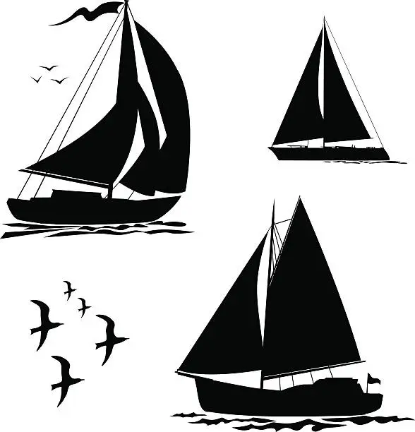 Vector illustration of Yacht, sailboats and gull set