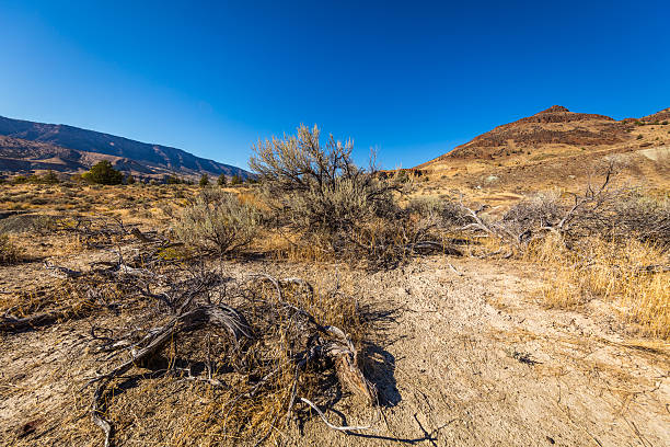 istock Colorful rock. Unusual dry landscape. 621497836