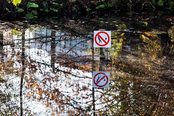 istock No fishing sign in pond 621497884
