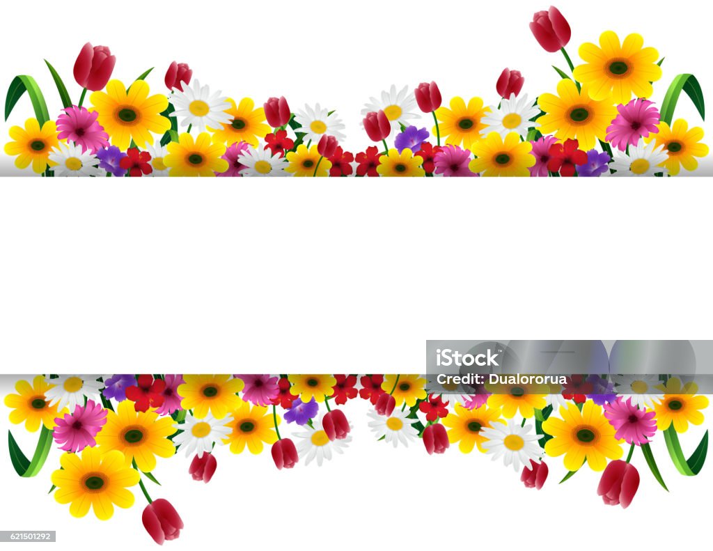 Tropische Blumen Banner - Lizenzfrei Bildhintergrund Vektorgrafik