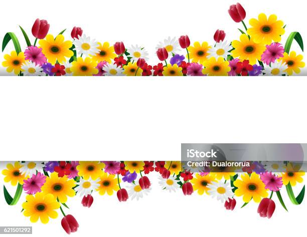 Tropische Blumen Banner Stock Vektor Art und mehr Bilder von Bildhintergrund - Bildhintergrund, Blume, Bunt - Farbton