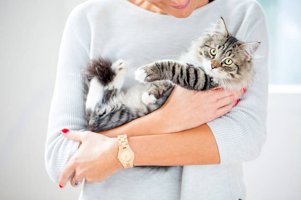 Woman holding her Kitten
