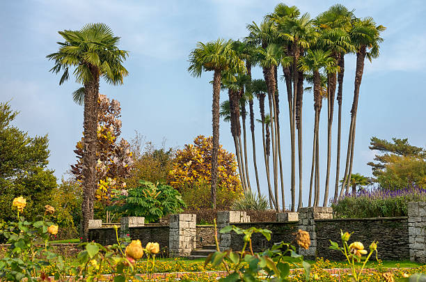 Idyllic botanical garden of Villa Taranto by Lago Maggiore during Fall, Verbania, Italy. 