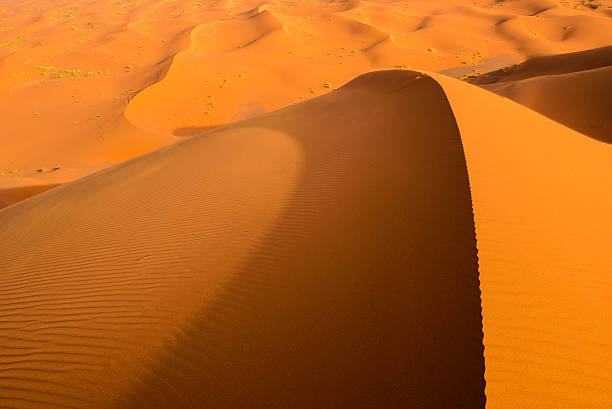 istock Sand dunes in the Sahara Desert, Merzouga, Morocco 621502192